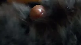 Veronica terkenal dr ...