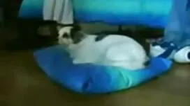 Jangan kisah tetek b ...