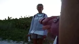 Seksi wira dalam bur ...