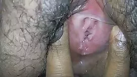 Kulit hitam, domba k ...